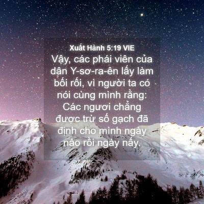 Picture 04 - Xuất Hành 5:19 VIE - Vậy, các phái viên của dân Y-sơ-ra-ên - Bible Verse Picture