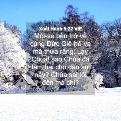Picture 04 - Xuất Hành 5:22 VIE - Môi-se bèn trở về cùng Đức Giê-hô-va - Bible Verse Picture