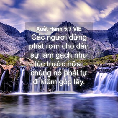 Picture 04 - Xuất Hành 5:7 VIE - Các ngươi đừng phát rơm cho dân sự - Bible Verse Picture
