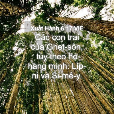 Picture 04 - Xuất Hành 6:17 VIE - Các con trai của Ghẹt-sôn, tùy theo họ - Bible Verse Picture