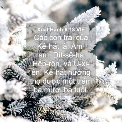Picture 04 - Xuất Hành 6:18 VIE - Các con trai của Kê-hát là: Am-ram, - Bible Verse Picture