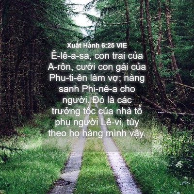 Picture 04 - Xuất Hành 6:25 VIE - Ê-lê-a-sa, con trai của A-rôn, cưới con - Bible Verse Picture