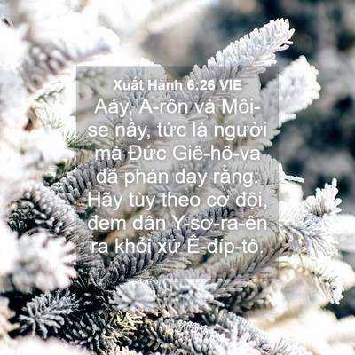 Picture 04 - Xuất Hành 6:26 VIE - Aáy, A-rôn và Môi-se nầy, tức là - Bible Verse Picture