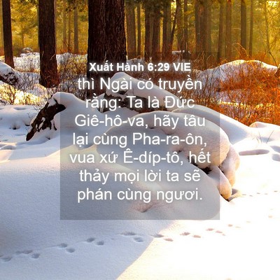 Picture 04 - Xuất Hành 6:29 VIE - thì Ngài có truyền rằng: Ta là Đức - Bible Verse Picture
