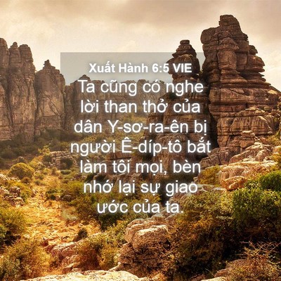 Picture 04 - Xuất Hành 6:5 VIE - Ta cũng có nghe lời than thở của dân - Bible Verse Picture