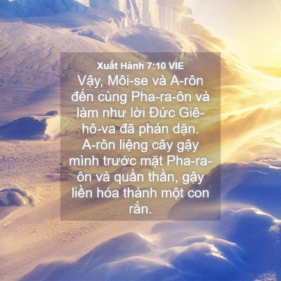 Picture 04 - Xuất Hành 7:10 VIE - Vậy, Môi-se và A-rôn đến cùng Pha-ra-ôn - Bible Verse Picture