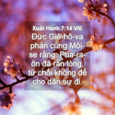 Picture 04 - Xuất Hành 7:14 VIE - Đức Giê-hô-va phán cùng Môi-se rằng: - Bible Verse Picture