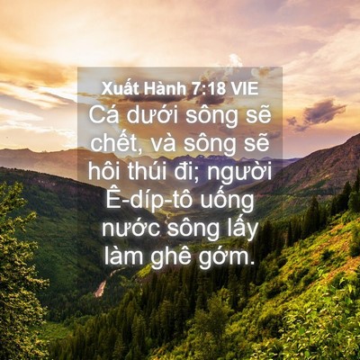 Picture 04 - Xuất Hành 7:18 VIE - Cá dưới sông sẽ chết, và sông sẽ - Bible Verse Picture