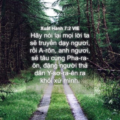 Picture 04 - Xuất Hành 7:2 VIE - Hãy nói lại mọi lời ta sẽ truyền - Bible Verse Picture