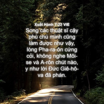 Picture 04 - Xuất Hành 7:22 VIE - Song các thuật sĩ cậy phù chú mình cũng - Bible Verse Picture