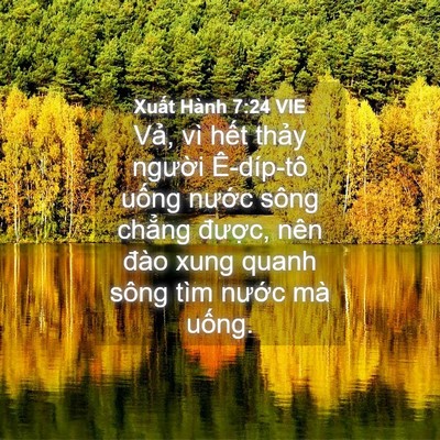 Picture 04 - Xuất Hành 7:24 VIE - Vả, vì hết thảy người Ê-díp-tô - Bible Verse Picture