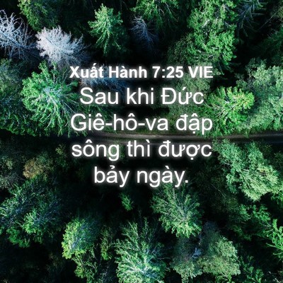 Picture 04 - Xuất Hành 7:25 VIE - Sau khi Đức Giê-hô-va đập sông thì - Bible Verse Picture