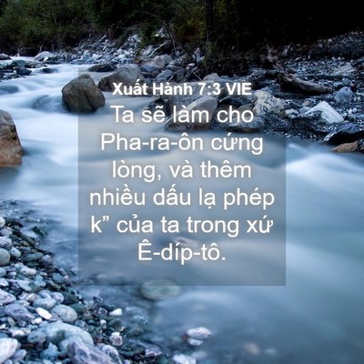 Picture 04 - Xuất Hành 7:3 VIE - Ta sẽ làm cho Pha-ra-ôn cứng lòng, và - Bible Verse Picture