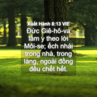 Picture 04 - Xuất Hành 8:13 VIE - Đức Giê-hô-va làm y theo lời Môi-se; - Bible Verse Picture