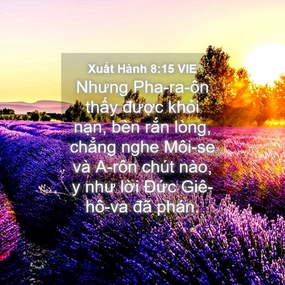 Picture 04 - Xuất Hành 8:15 VIE - Nhưng Pha-ra-ôn thấy được khỏi nạn, - Bible Verse Picture