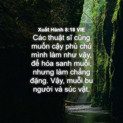 Picture 04 - Xuất Hành 8:18 VIE - Các thuật sĩ cũng muốn cậy phù chú - Bible Verse Picture