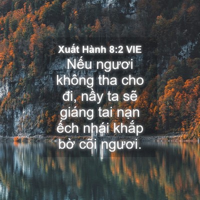Picture 04 - Xuất Hành 8:2 VIE - Nếu ngươi không tha cho đi, nầy ta sẽ - Bible Verse Picture