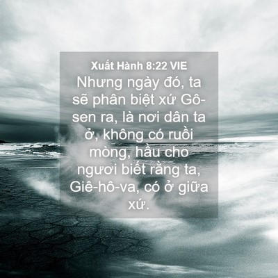 Picture 04 - Xuất Hành 8:22 VIE - Nhưng ngày đó, ta sẽ phân biệt xứ - Bible Verse Picture