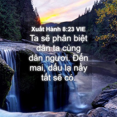 Picture 04 - Xuất Hành 8:23 VIE - Ta sẽ phân biệt dân ta cùng dân ngươi. - Bible Verse Picture