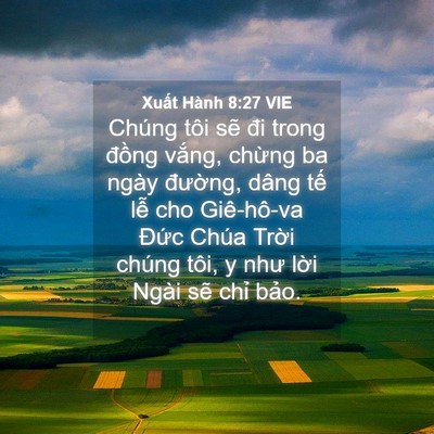 Picture 04 - Xuất Hành 8:27 VIE - Chúng tôi sẽ đi trong đồng vắng, - Bible Verse Picture