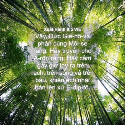 Picture 04 - Xuất Hành 8:5 VIE - Vậy, Đức Giê-hô-va phán cùng Môi-se - Bible Verse Picture