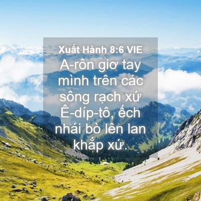Picture 04 - Xuất Hành 8:6 VIE - A-rôn giơ tay mình trên các sông rạch - Bible Verse Picture