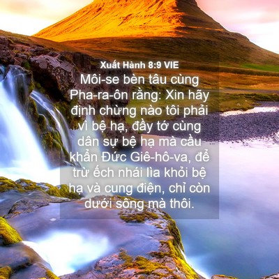 Picture 04 - Xuất Hành 8:9 VIE - Môi-se bèn tâu cùng Pha-ra-ôn rằng: Xin - Bible Verse Picture
