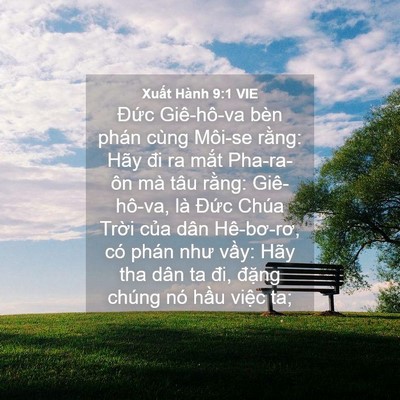 Picture 04 - Xuất Hành 9:1 VIE - Đức Giê-hô-va bèn phán cùng Môi-se - Bible Verse Picture