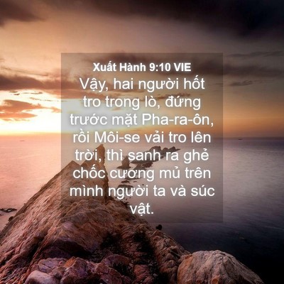 Picture 04 - Xuất Hành 9:10 VIE - Vậy, hai người hốt tro trong lò, đứng - Bible Verse Picture