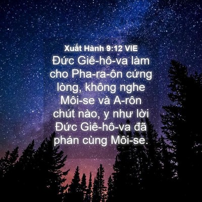 Picture 04 - Xuất Hành 9:12 VIE - Đức Giê-hô-va làm cho Pha-ra-ôn cứng - Bible Verse Picture