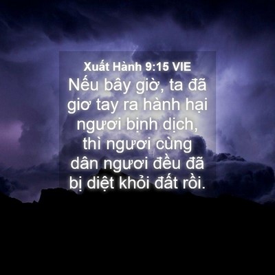 Picture 04 - Xuất Hành 9:15 VIE - Nếu bây giờ, ta đã giơ tay ra hành hại - Bible Verse Picture