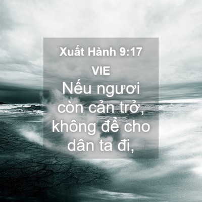 Picture 04 - Xuất Hành 9:17 VIE - Nếu ngươi còn cản trở, không để cho - Bible Verse Picture