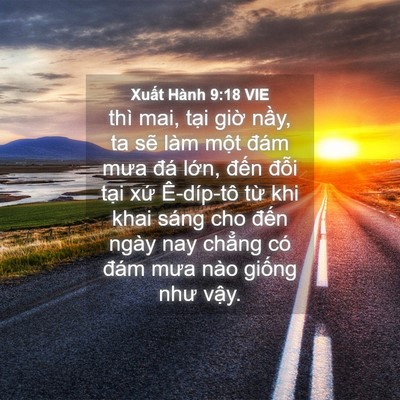 Picture 04 - Xuất Hành 9:18 VIE - thì mai, tại giờ nầy, ta sẽ làm một - Bible Verse Picture
