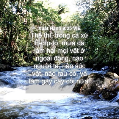 Picture 04 - Xuất Hành 9:25 VIE - Thế thì, trong cả xứ Ê-díp-tô, mưa - Bible Verse Picture