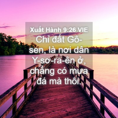 Picture 04 - Xuất Hành 9:26 VIE - Chỉ đất Gô-sen, là nơi dân Y-sơ-ra-ên - Bible Verse Picture