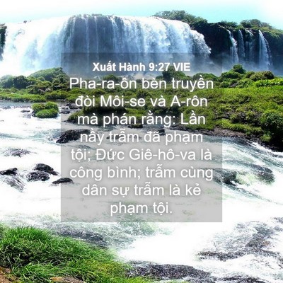Picture 04 - Xuất Hành 9:27 VIE - Pha-ra-ôn bèn truyền đòi Môi-se và A-rôn - Bible Verse Picture