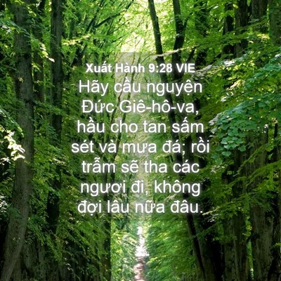 Picture 04 - Xuất Hành 9:28 VIE - Hãy cầu nguyện Đức Giê-hô-va, hầu cho - Bible Verse Picture