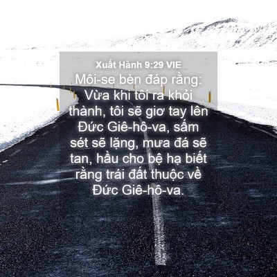 Picture 04 - Xuất Hành 9:29 VIE - Môi-se bèn đáp rằng: Vừa khi tôi ra - Bible Verse Picture
