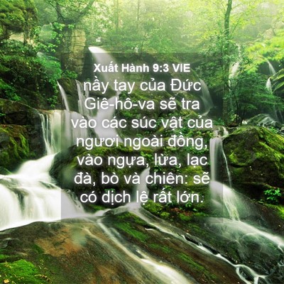 Picture 04 - Xuất Hành 9:3 VIE - nầy tay của Đức Giê-hô-va sẽ tra vào - Bible Verse Picture