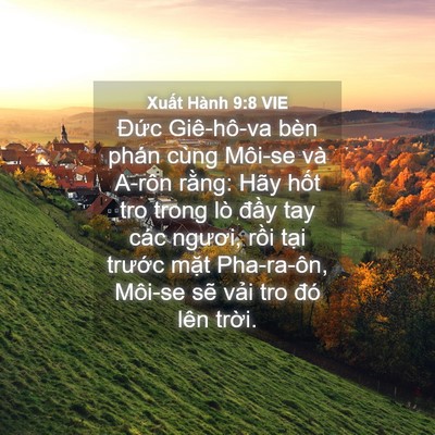 Picture 04 - Xuất Hành 9:8 VIE - Đức Giê-hô-va bèn phán cùng Môi-se và - Bible Verse Picture
