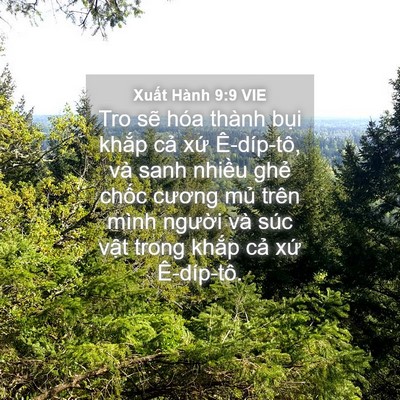 Picture 04 - Xuất Hành 9:9 VIE - Tro sẽ hóa thành bụi khắp cả xứ - Bible Verse Picture