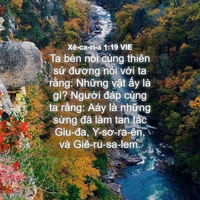 Picture 04 - Xê-ca-ri-a 1:19 VIE - Ta bèn nói cùng thiên sứ đương nói - Bible Verse Picture