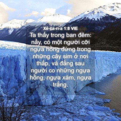 Picture 04 - Xê-ca-ri-a 1:8 VIE - Ta thấy trong ban đêm: nầy, có một - Bible Verse Picture