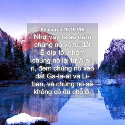 Picture 04 - Xê-ca-ri-a 10:10 VIE - Như vậy ta sẽ đem chúng nó về từ - Bible Verse Picture