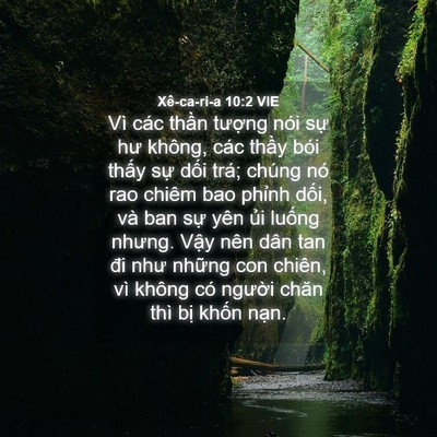 Picture 04 - Xê-ca-ri-a 10:2 VIE - Vì các thần tượng nói sự hư không, - Bible Verse Picture