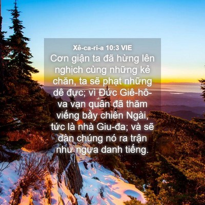 Picture 04 - Xê-ca-ri-a 10:3 VIE - Cơn giận ta đã hừng lên nghịch cùng - Bible Verse Picture