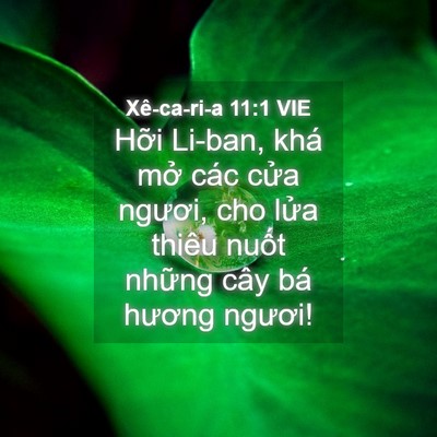 Picture 04 - Xê-ca-ri-a 11:1 VIE - Hỡi Li-ban, khá mở các cửa ngươi, cho - Bible Verse Picture