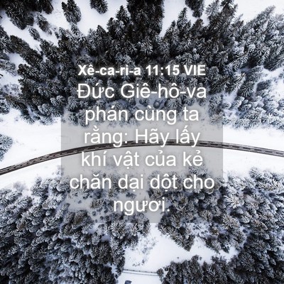 Picture 04 - Xê-ca-ri-a 11:15 VIE - Đức Giê-hô-va phán cùng ta rằng: Hãy - Bible Verse Picture