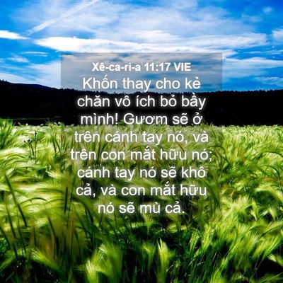 Picture 04 - Xê-ca-ri-a 11:17 VIE - Khốn thay cho kẻ chăn vô ích bỏ bầy - Bible Verse Picture