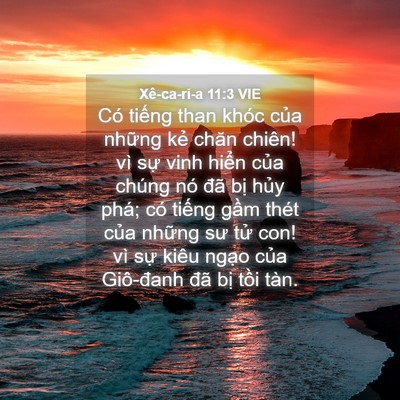 Picture 04 - Xê-ca-ri-a 11:3 VIE - Có tiếng than khóc của những kẻ chăn - Bible Verse Picture